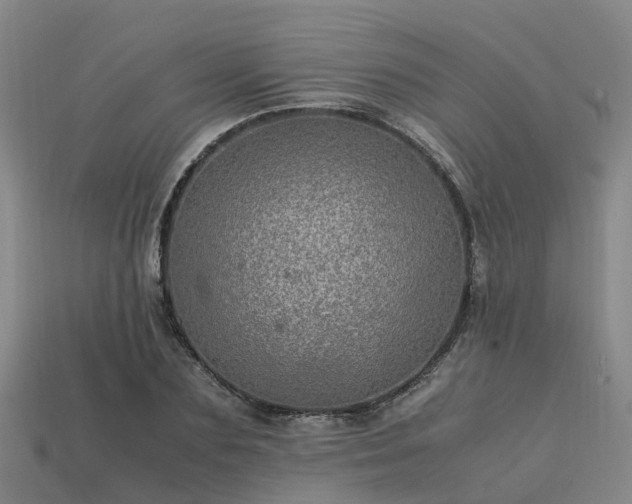 X0000113600883200909251154