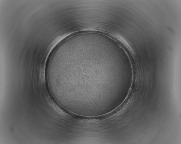 X0000113600884200909251154