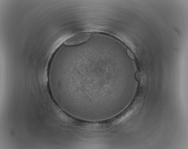 X0000113600885200909251154