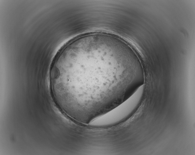 X0000113600888200909251154