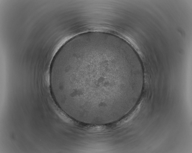 X0000113600891200909251154