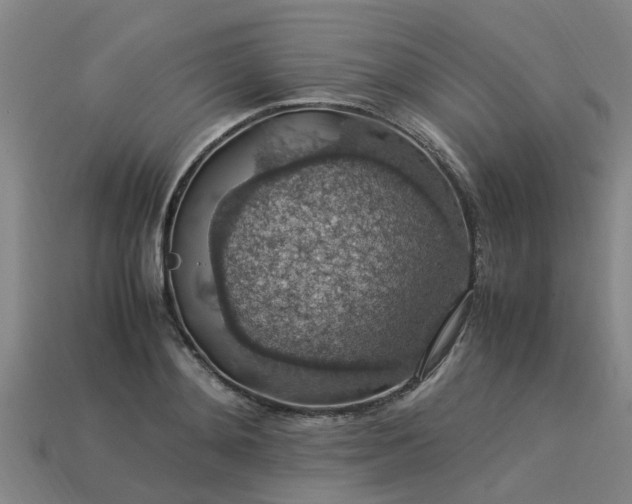 X0000113600892200909251154