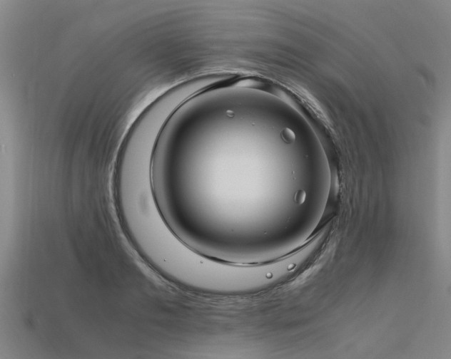 X0000113600893200909251154