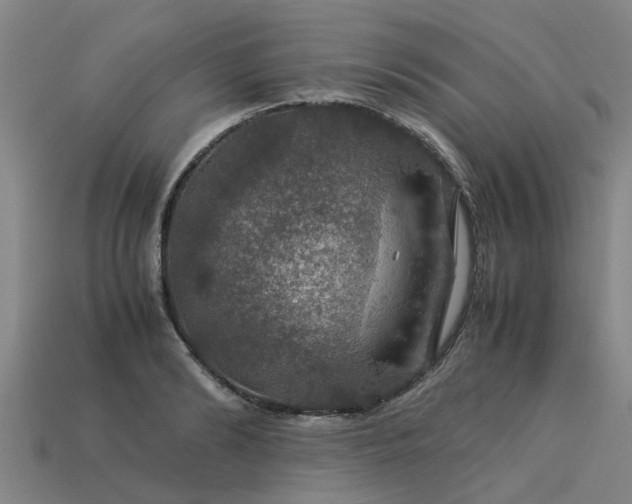 X0000113600894200909251154