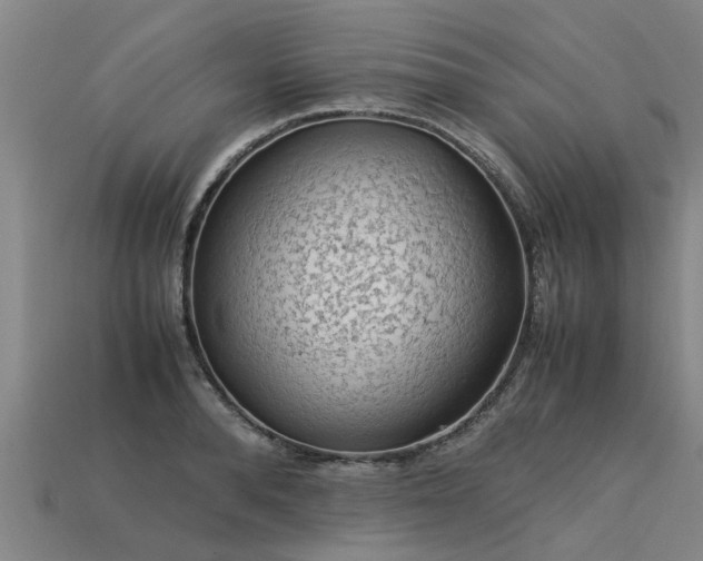 X0000113600896200909251154