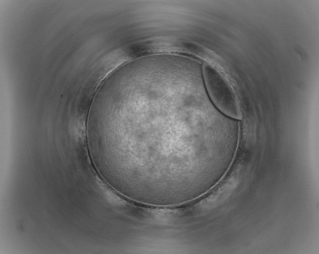 X0000113600897200909251154