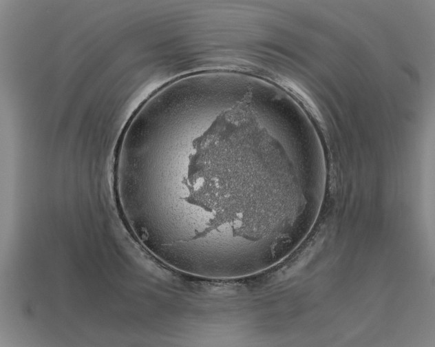 X0000113600899200909251154