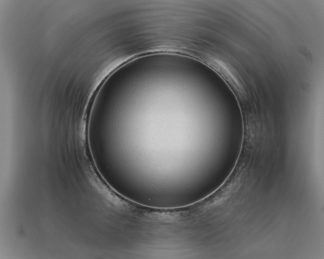 X0000113600900200909251153