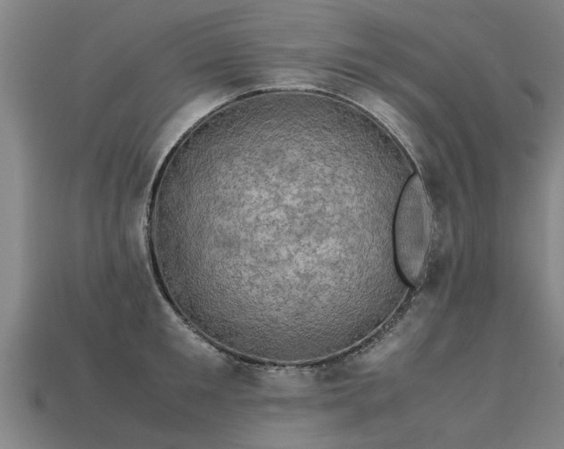 X0000113600901200909251153