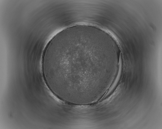 X0000113600902200909251153