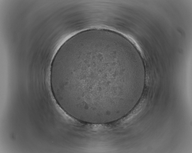 X0000113600903200909251153