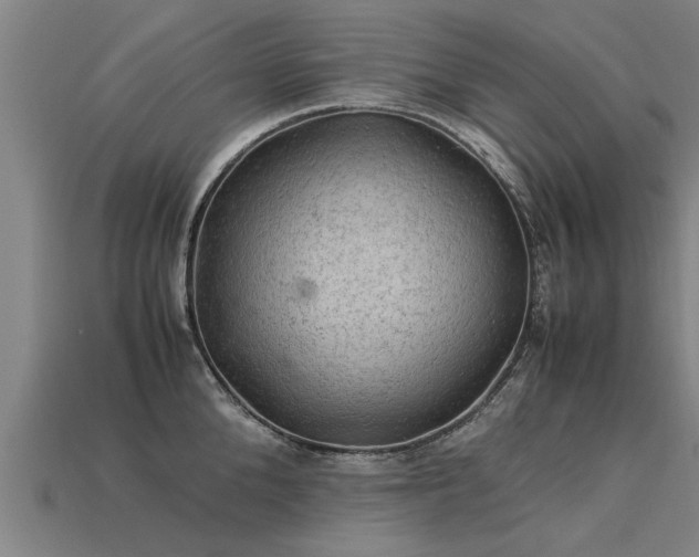 X0000113600904200909251153