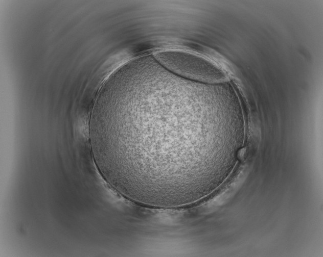 X0000113600905200909251153