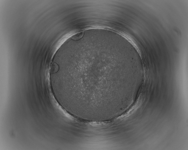 X0000113600906200909251153