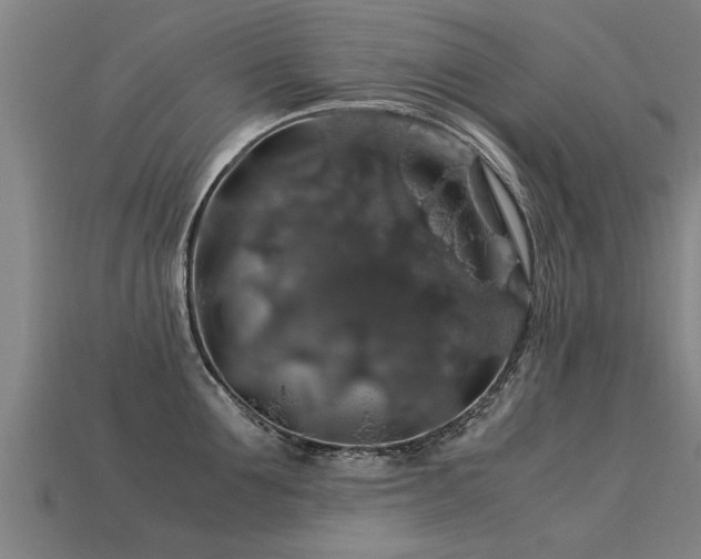 X0000113600907200909251153