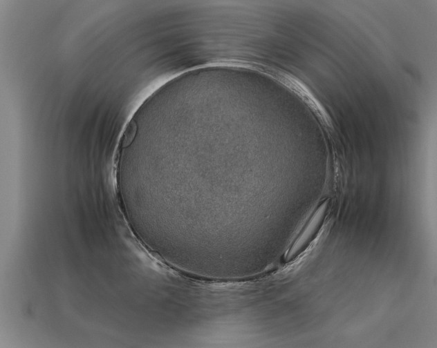 X0000113600908200909251153