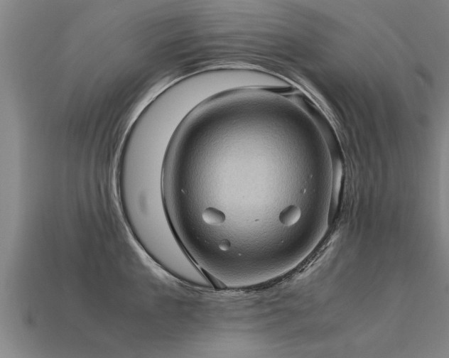 X0000113600909200909251153