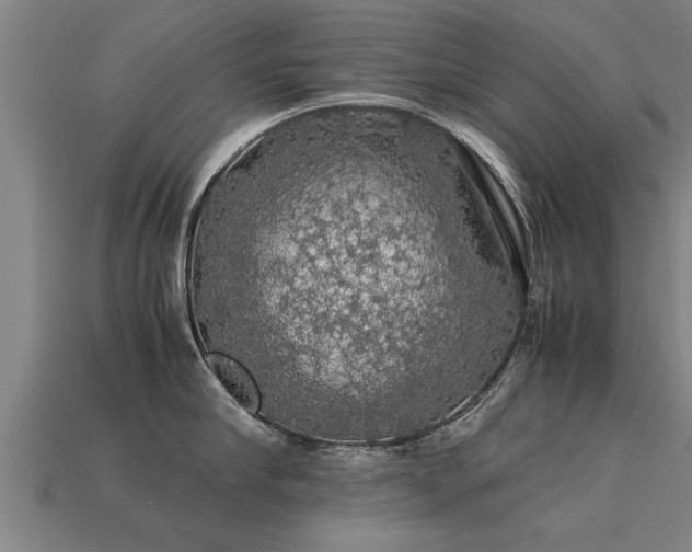 X0000113600910200909251153