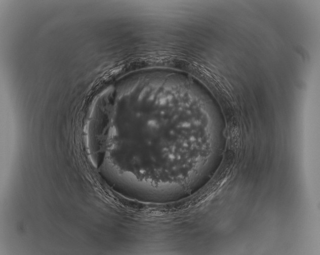 X0000113600913200909251153