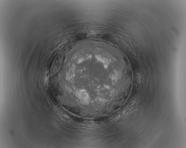 X0000113600914200909251153