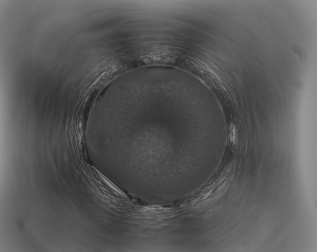 X0000113600915200909251153