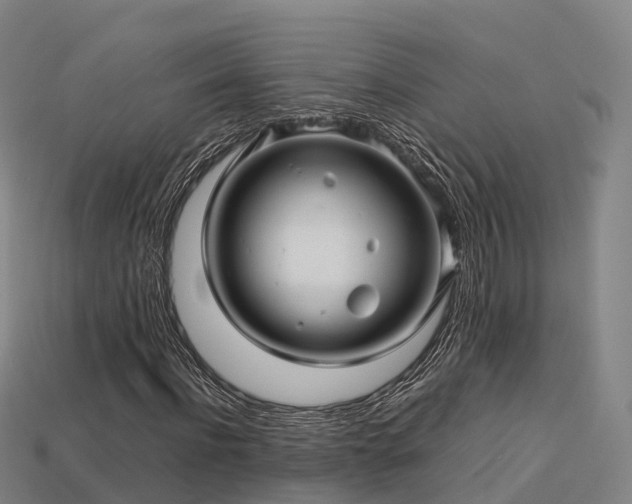 X0000113600916200909251153