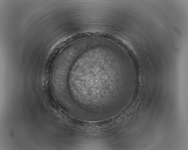 X0000113600920200909251153