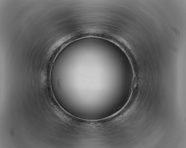 X0000113600922200909251153