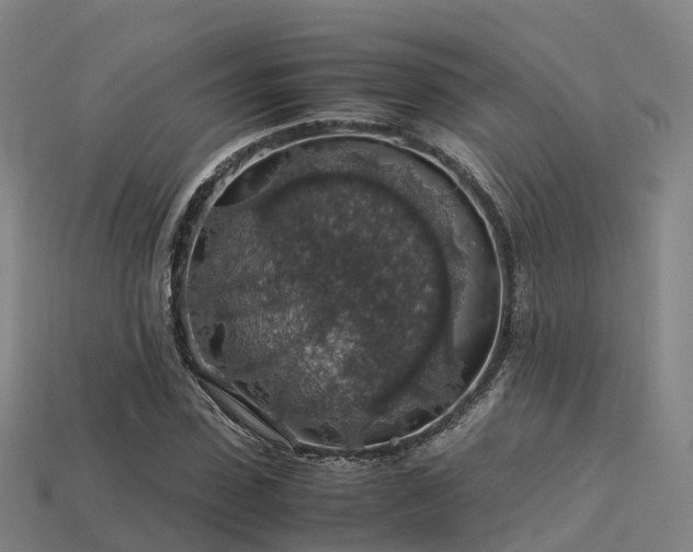 X0000113600923200909251153