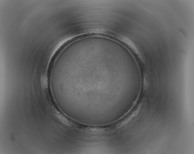 X0000113600924200909251153