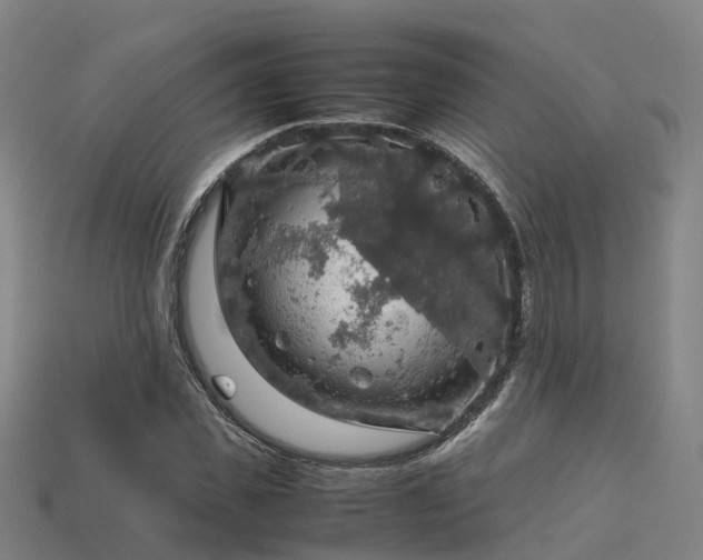 X0000113600925200909251153