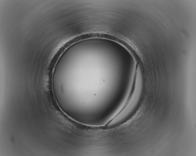 X0000113600926200909251153