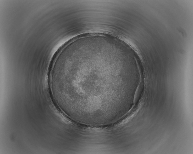 X0000113600928200909251153