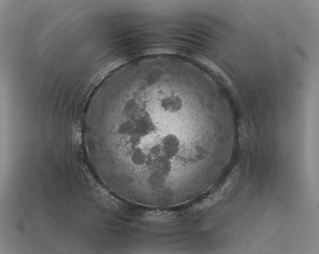 X0000113600929200909251153