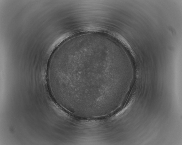 X0000113600930200909251153