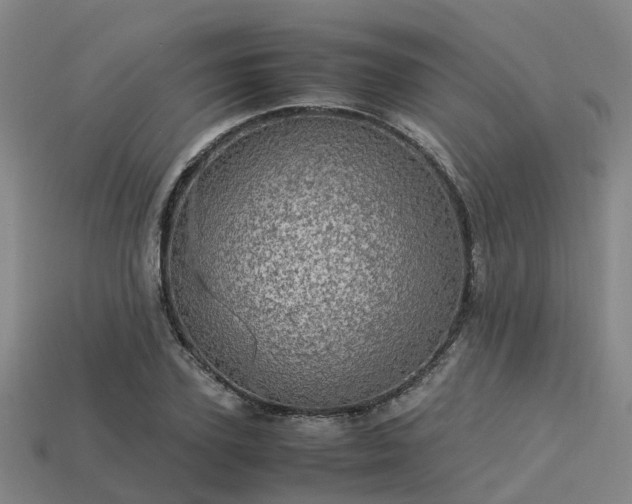 X0000113600931200909251153