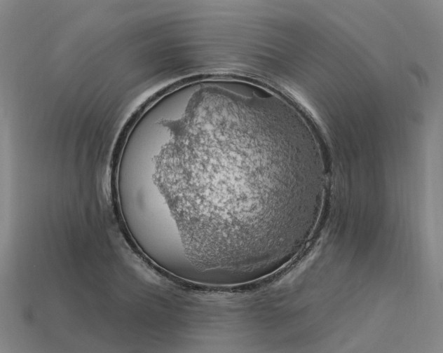 X0000113600932200909251153