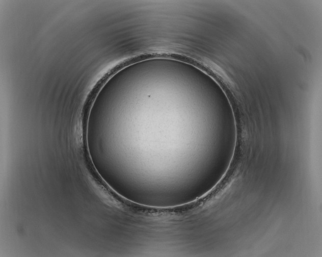 X0000113600934200909251153