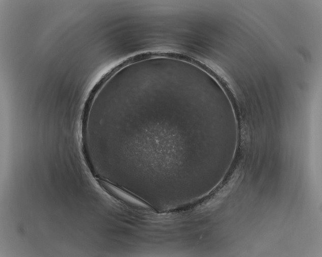 X0000113600935200909251153