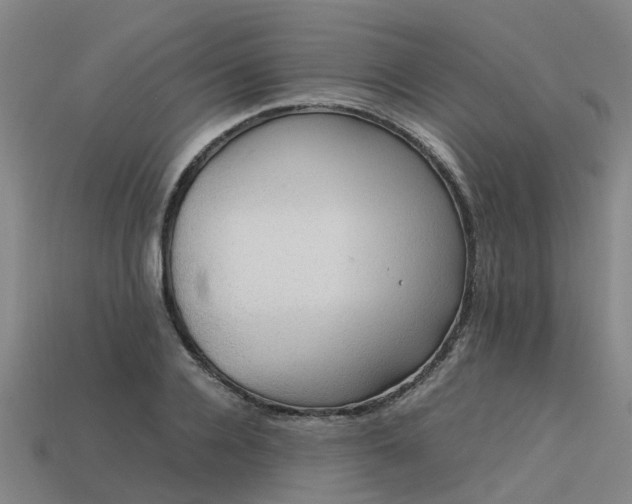 X0000113600936200909251153