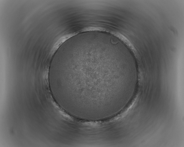 X0000113600937200909251153