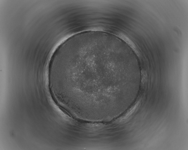 X0000113600939200909251153