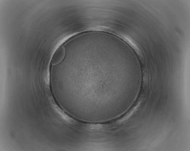 X0000113600940200909251153