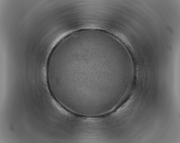 X0000113600942200909251153