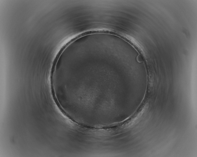 X0000113600943200909251153