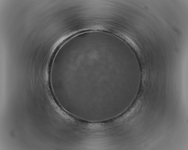 X0000113600944200909251153