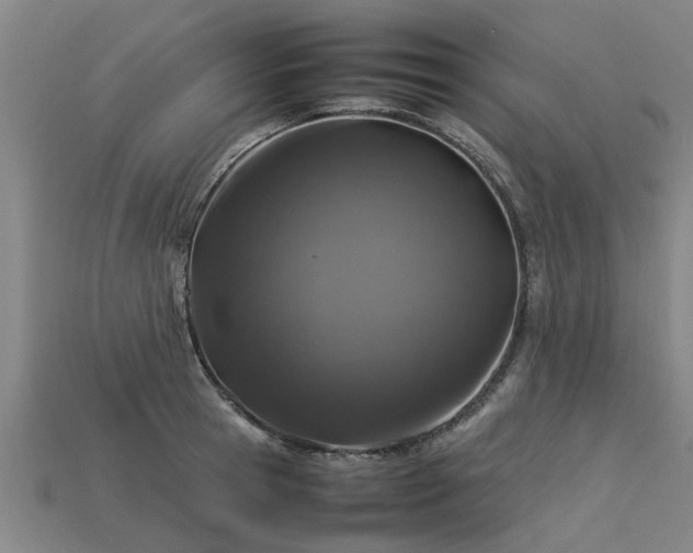 X0000113600945200909251153