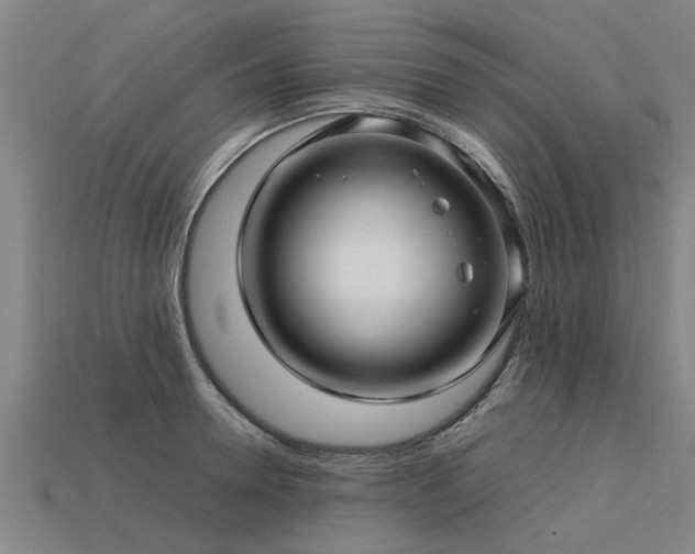 X0000113600946200909251153