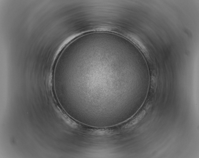 X0000113600948200909251153