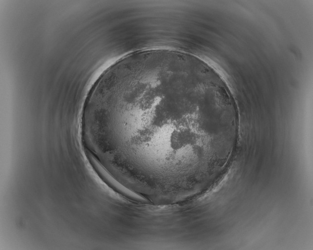 X0000113600949200909251153